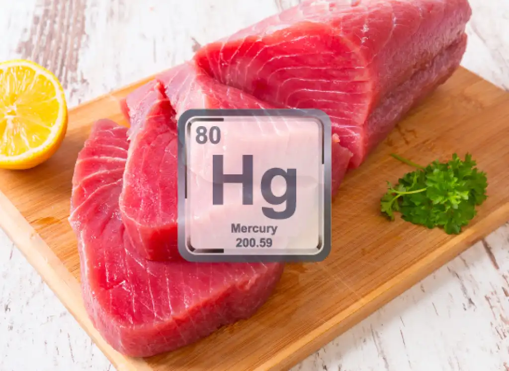 The EU recommends monitoring mercury in fishery products