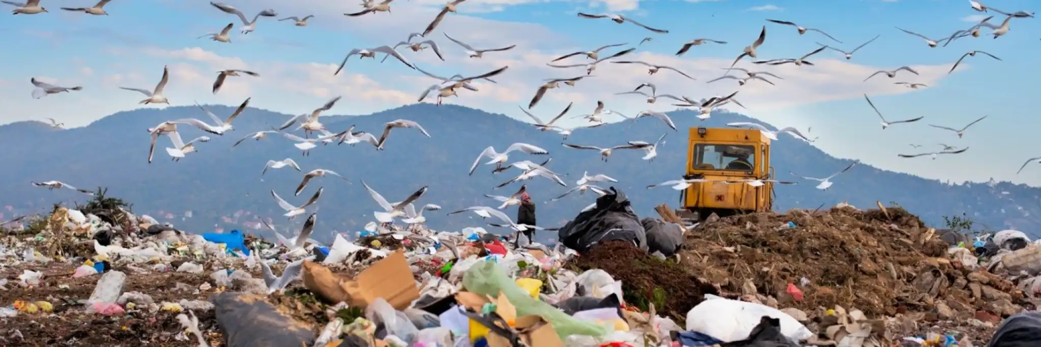 Reducing waste: goals and solutions