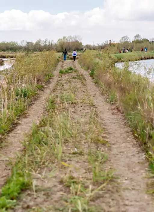 Piantiamo il futuro Insieme