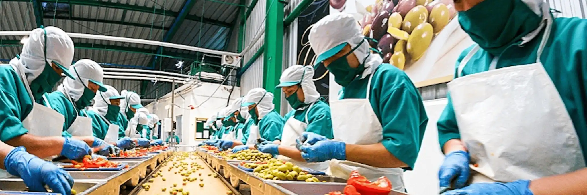 Certificazione IFS: cos’è e a cosa serve