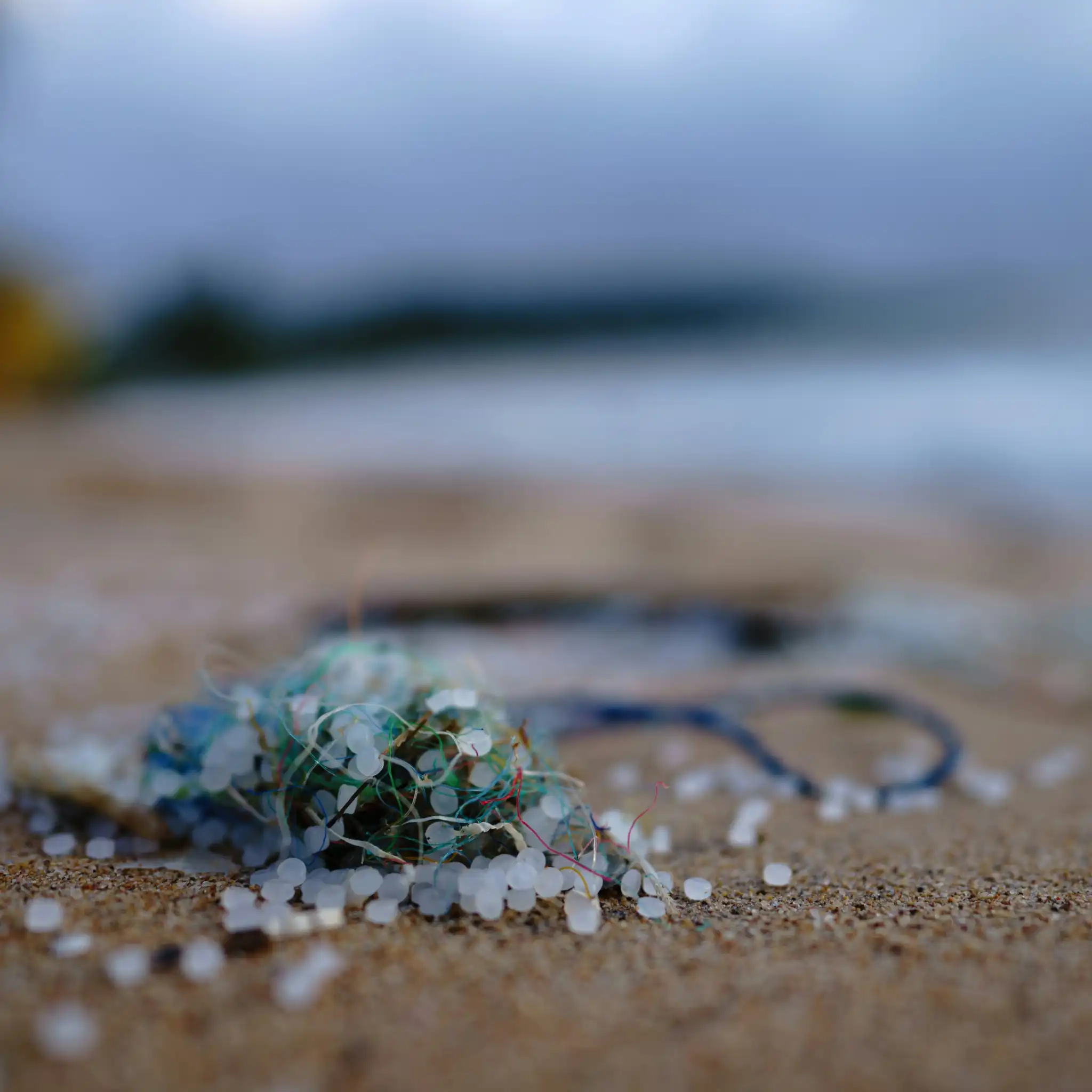 Il consumo umano di microplastiche: quante ne ingeriamo davvero