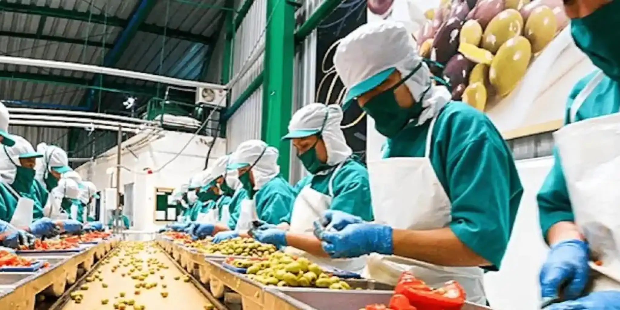 IFS Certification: What it is and what it is used for