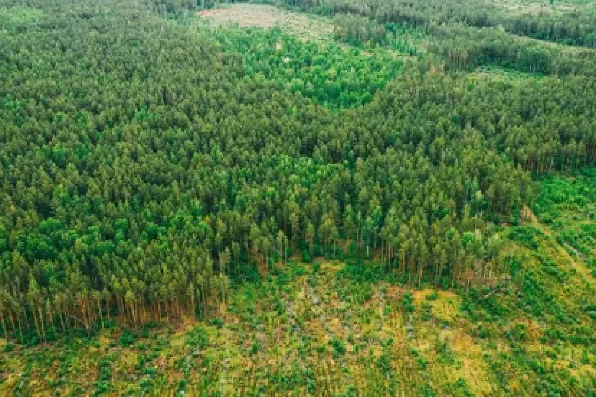 Il possibile (nuovo) rinvio