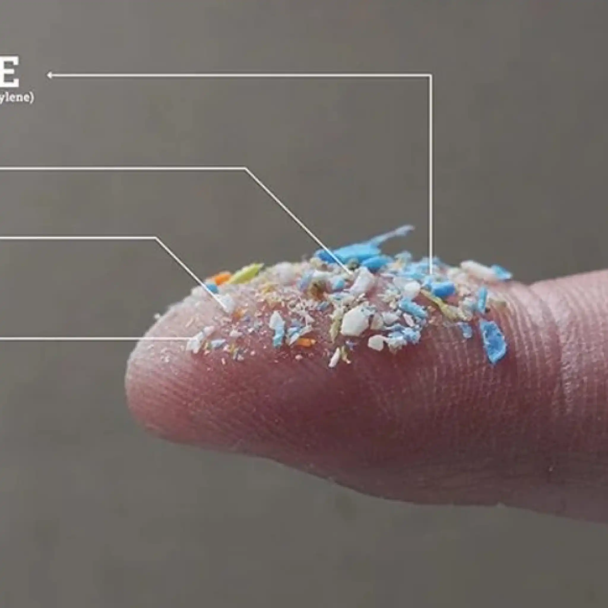 La necessità di un trattato globale: verso una governance della plastica