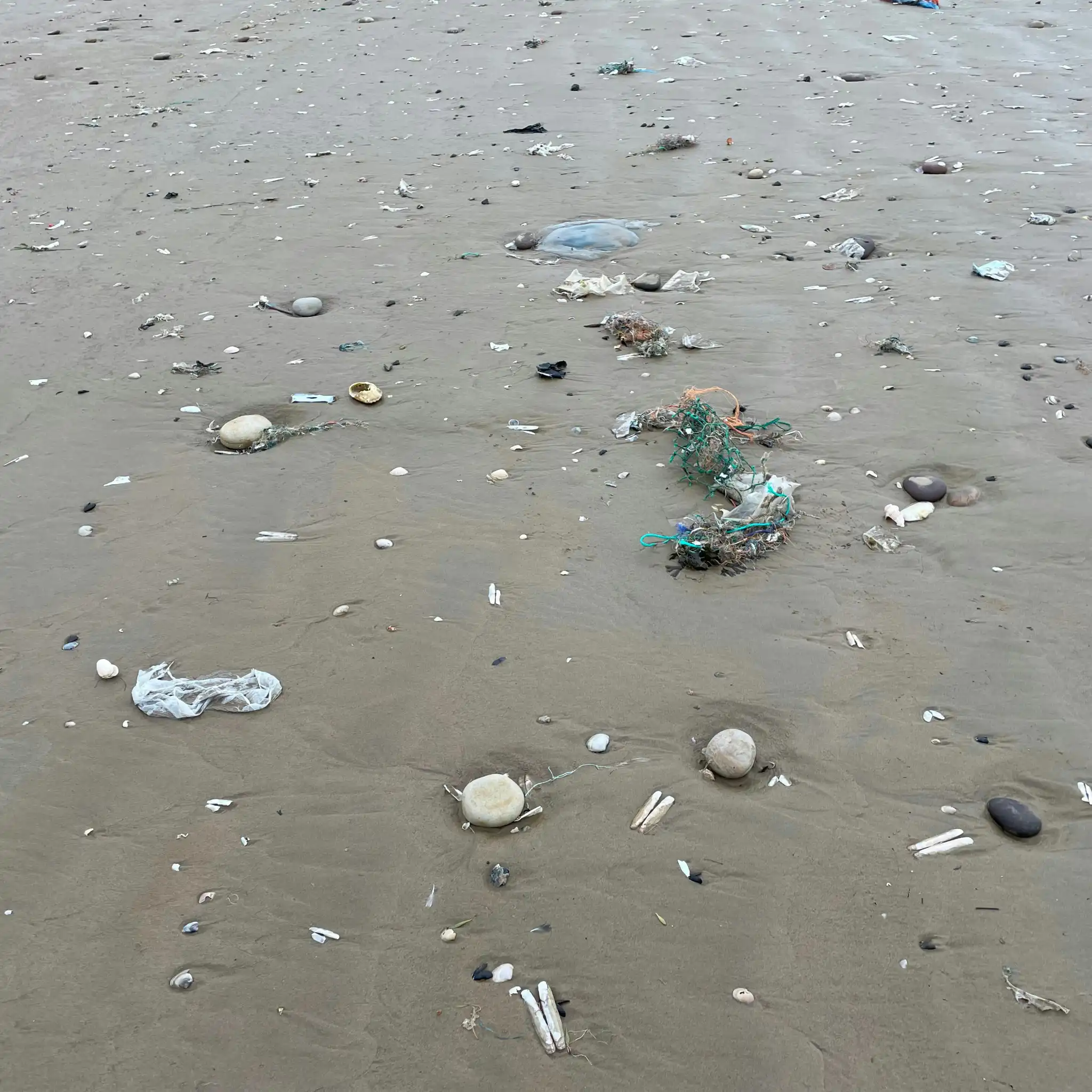 Tra divieti, tasse e riciclo: l’efficacia delle politiche di riduzione