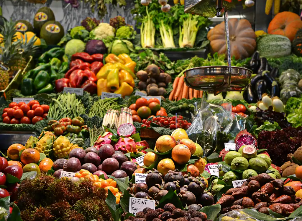 Innovazione e sostenibilità nella filiera ortofrutticola: lo stato dell’arte nel 2026