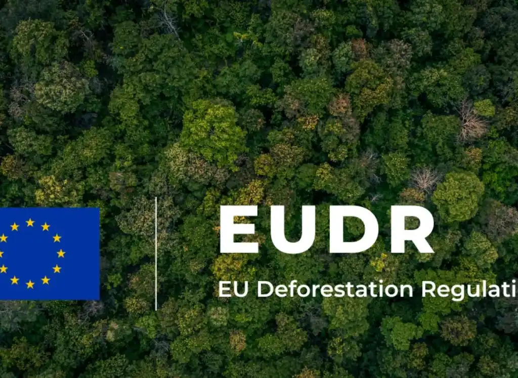 EUDR: l’eterna dicotomia tra progresso e rinvii