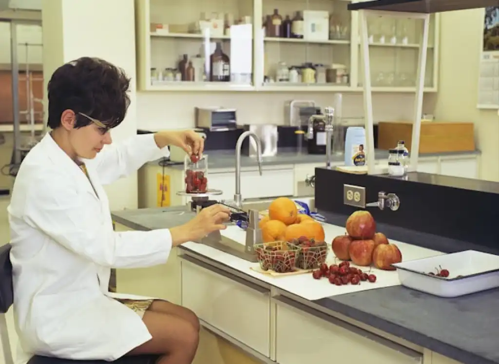 Challenge test e analisi microbiologiche: la guida per le imprese alimentari