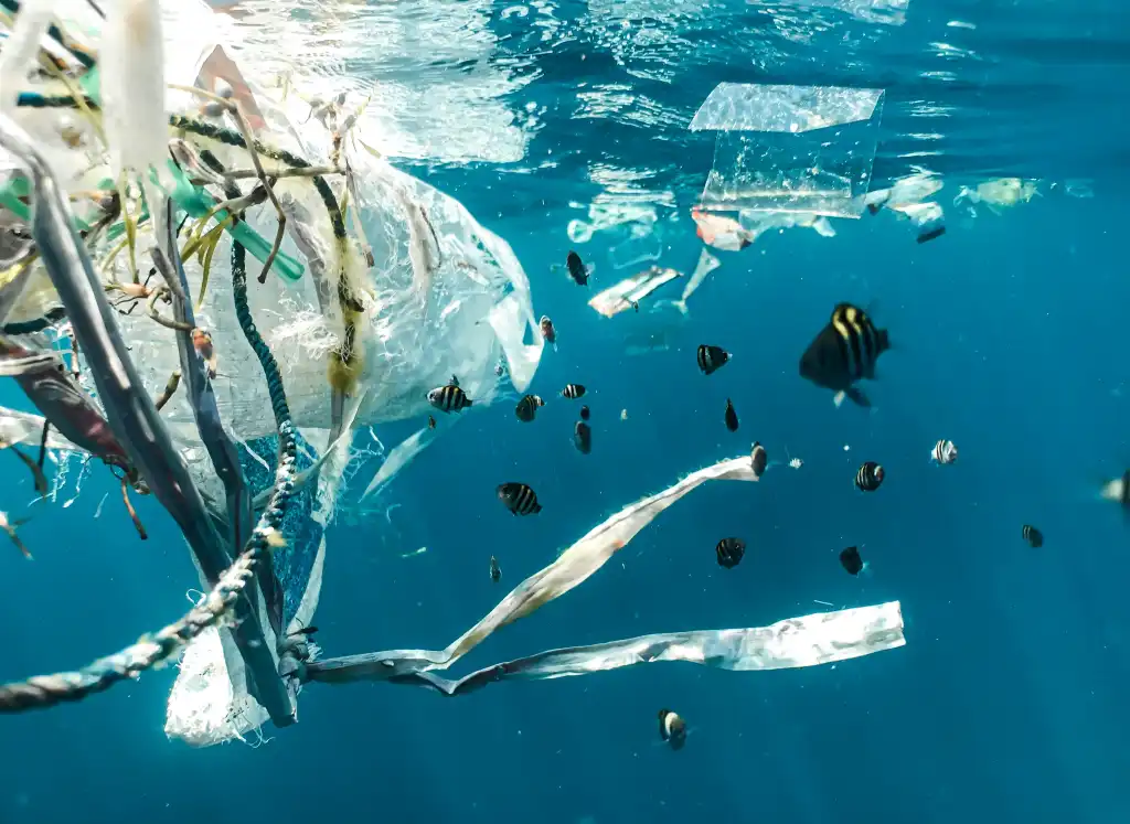 Microplastiche: emergenza globale tra ambiente, salute e politiche di mitigazione