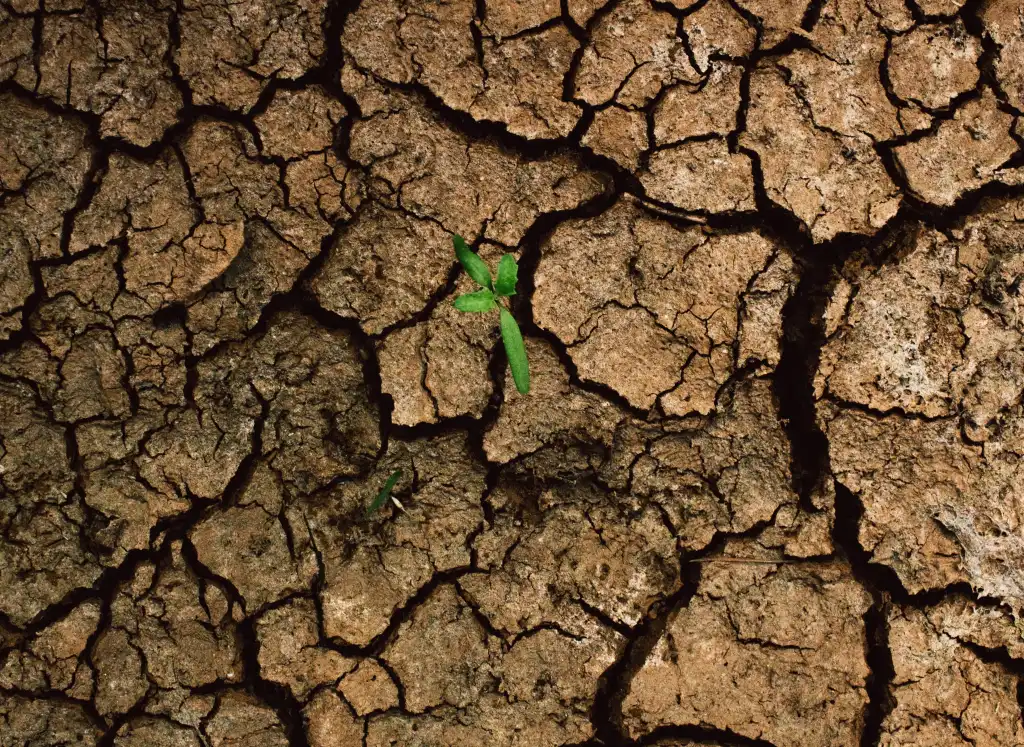 Caldo estremo e siccità nel 2026: la filiera agroalimentare europea sotto assedio, da terra a mare