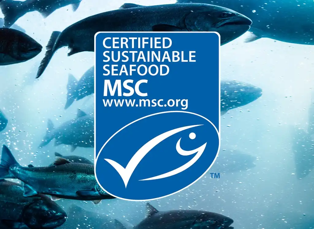 I Love Poké becomes Italy's first ever MSC-certified food chain