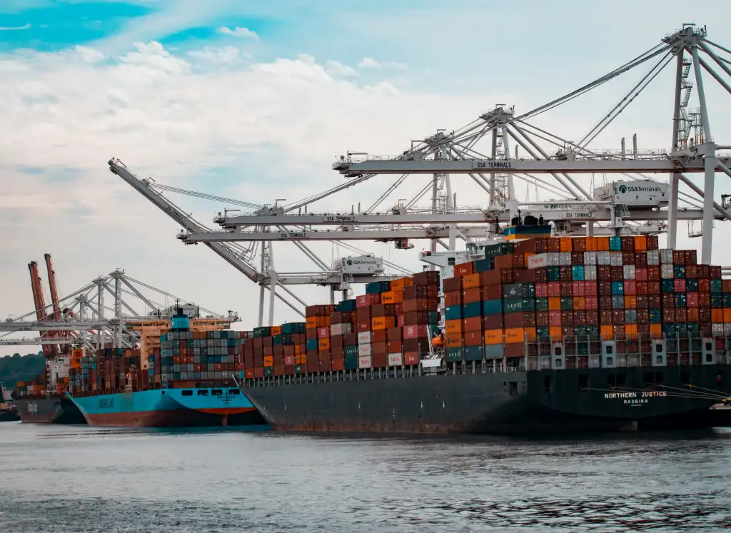 Helping Foodex Group's top branch manage imports, digitise records, and get quality certifications
