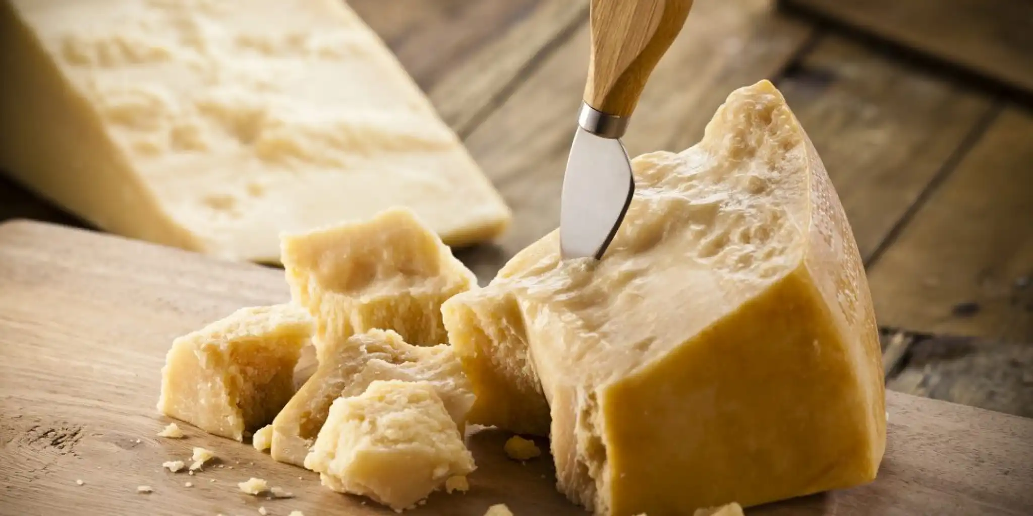 Dal latte ai primi formaggi