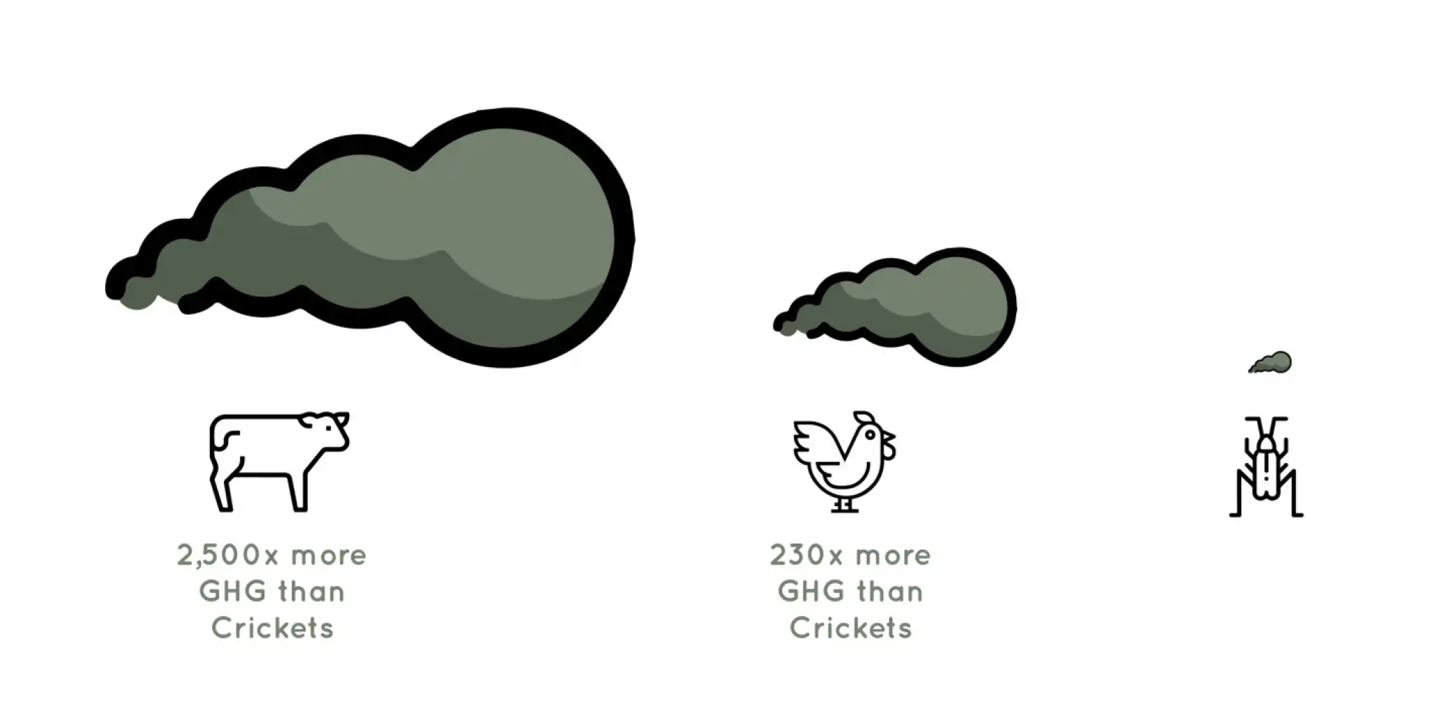 The human–insect alliance