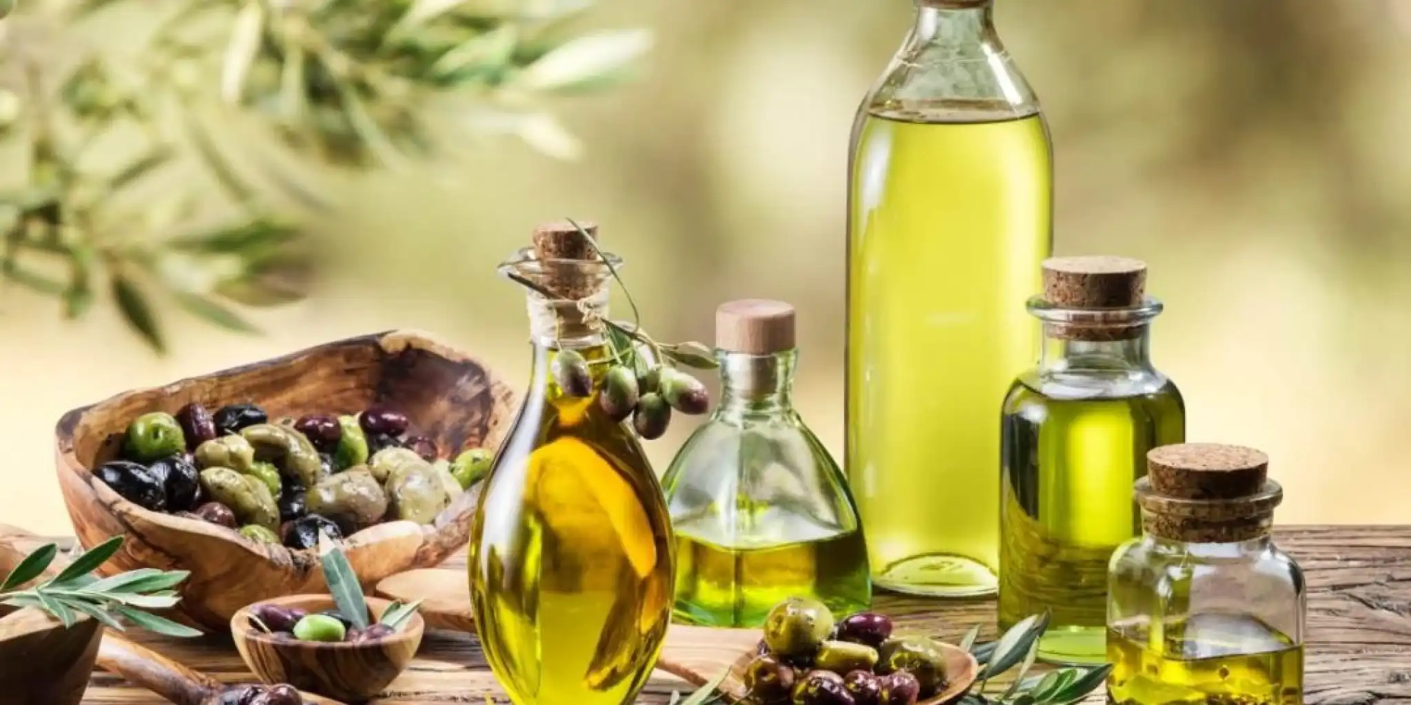 Why a guide to extra virgin olive oil