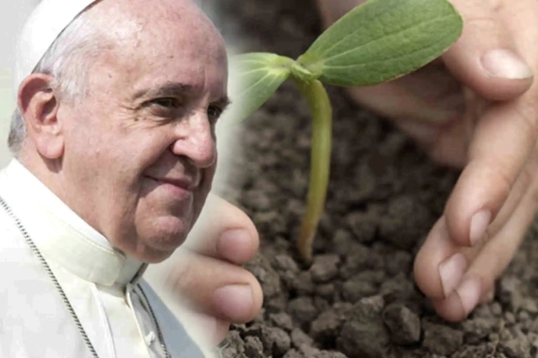 A legacy of integral ecology