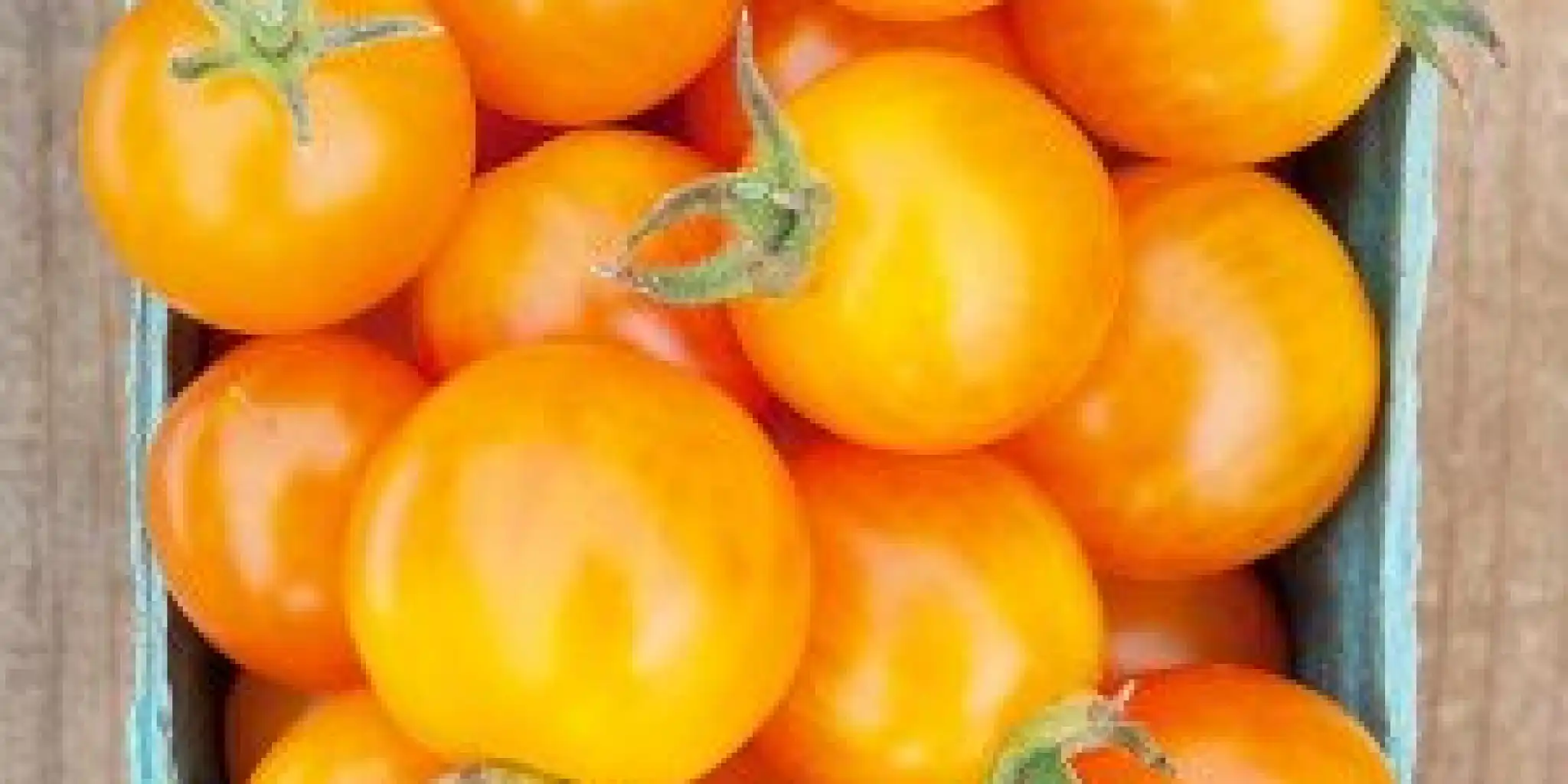 From historical cookery to typical varieties
