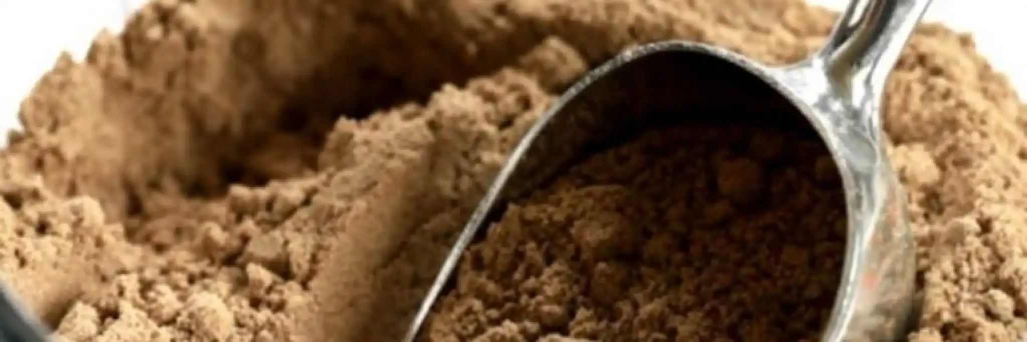 Mangiare gli insetti: sì o no?