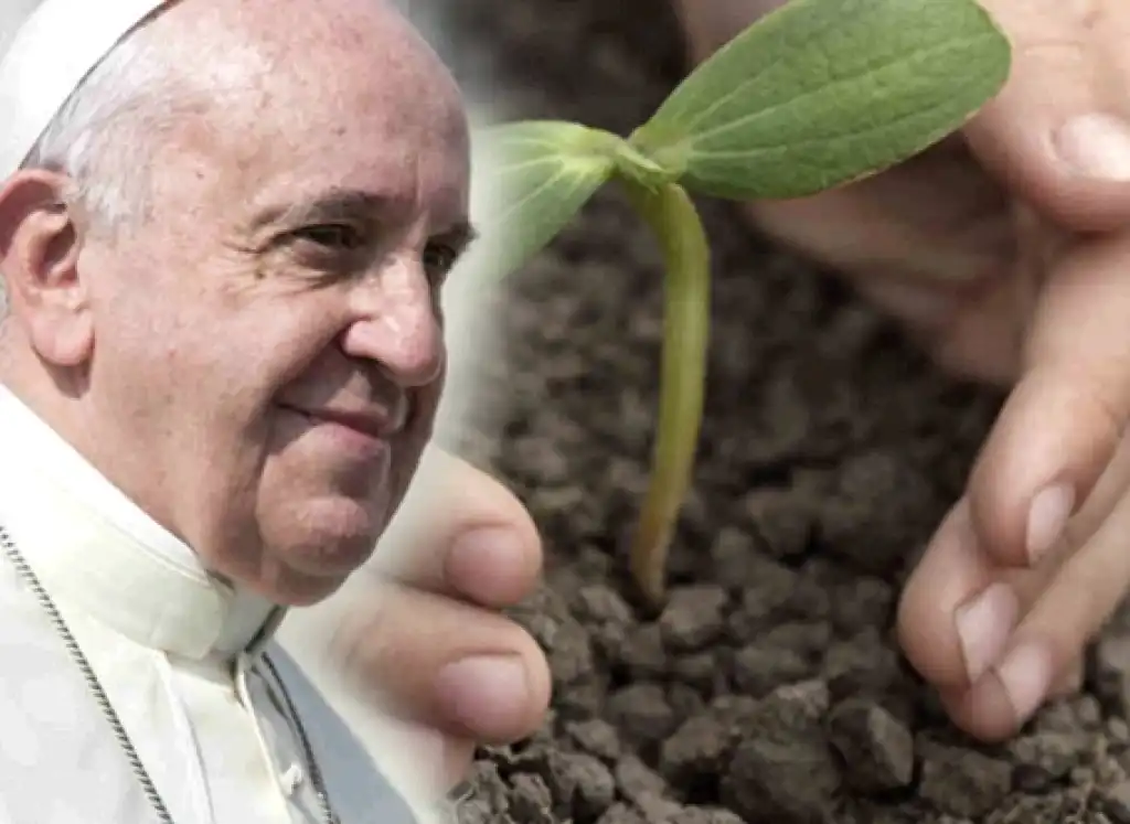 Francesco e la responsabilità ambientale universale