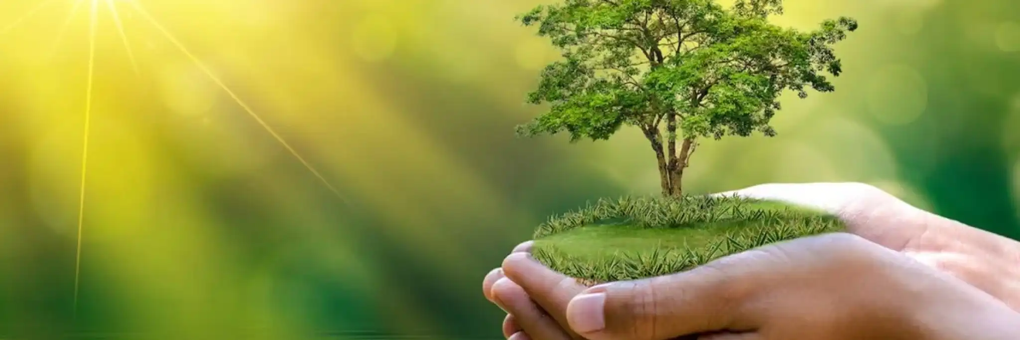 Verso una conversione ecologica