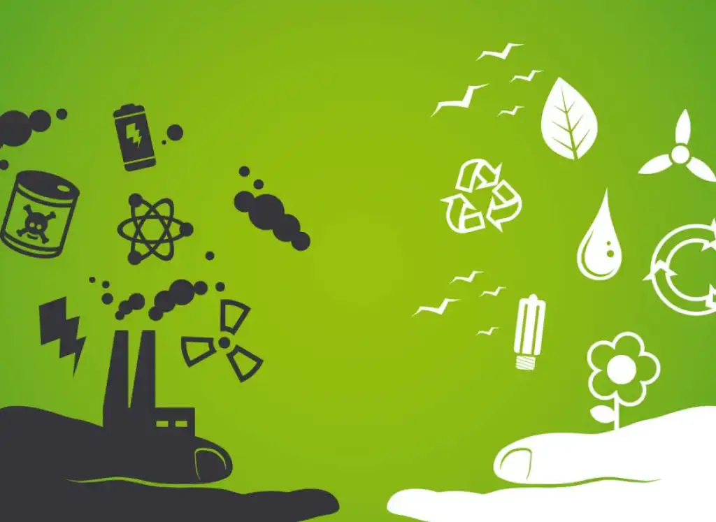 Cosa bisogna fare per ridurre l’impatto ambientale?