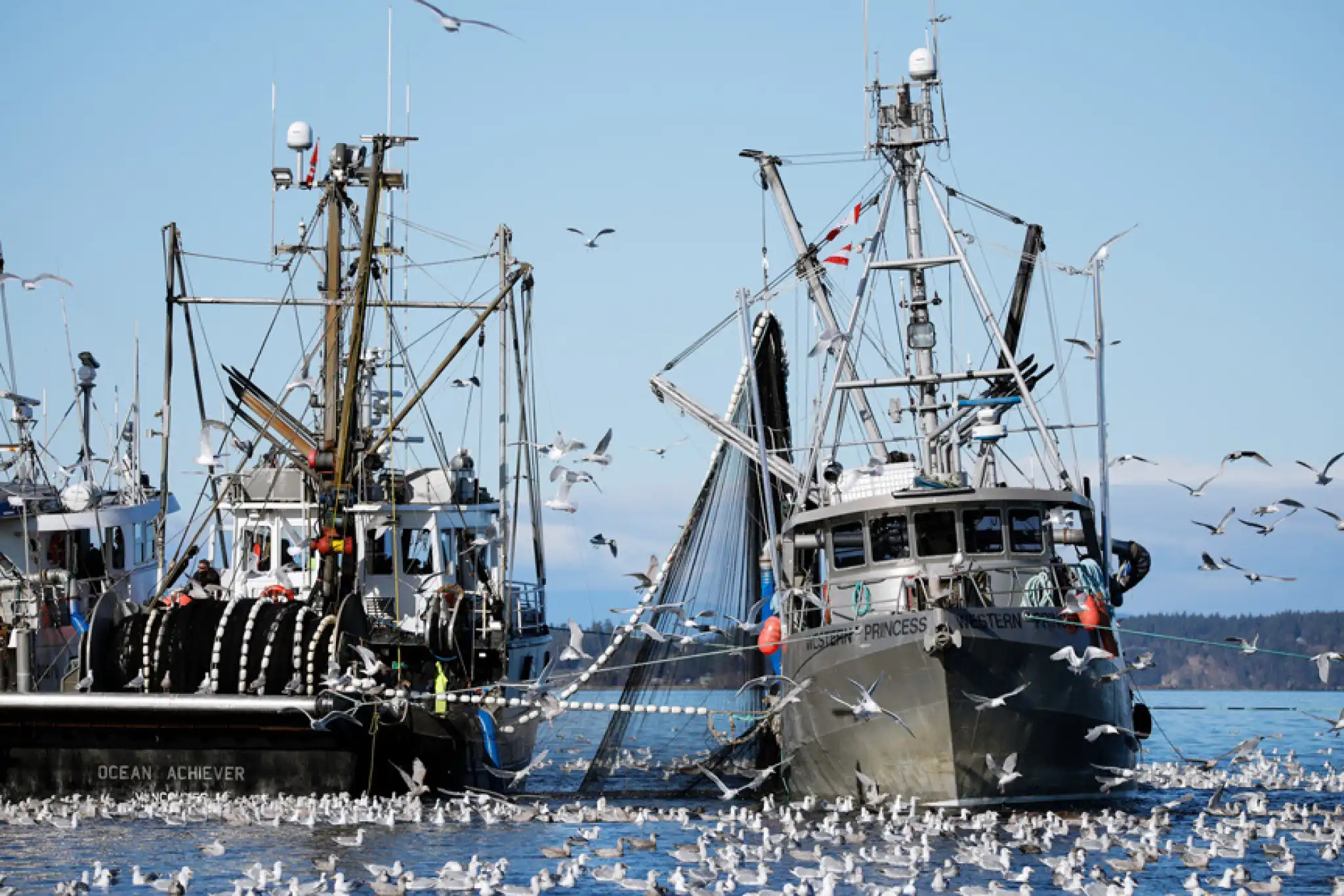 Lo stato della pesca nell’Unione europea