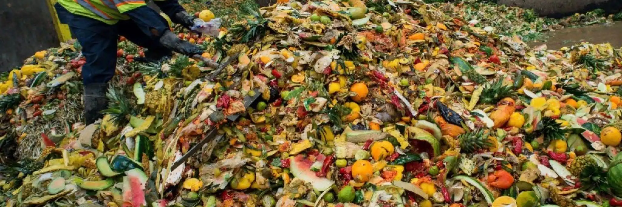 Lo spreco alimentare in Italia