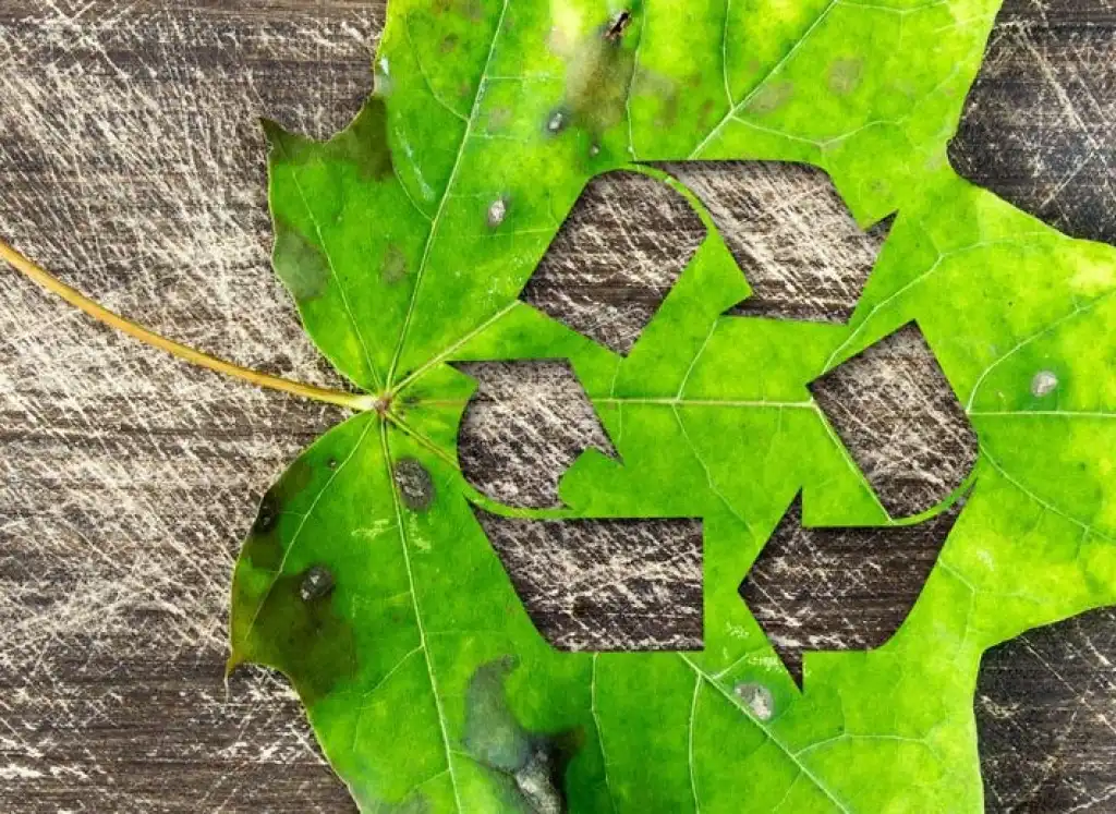 Strategia per la plastica nell’economia circolare