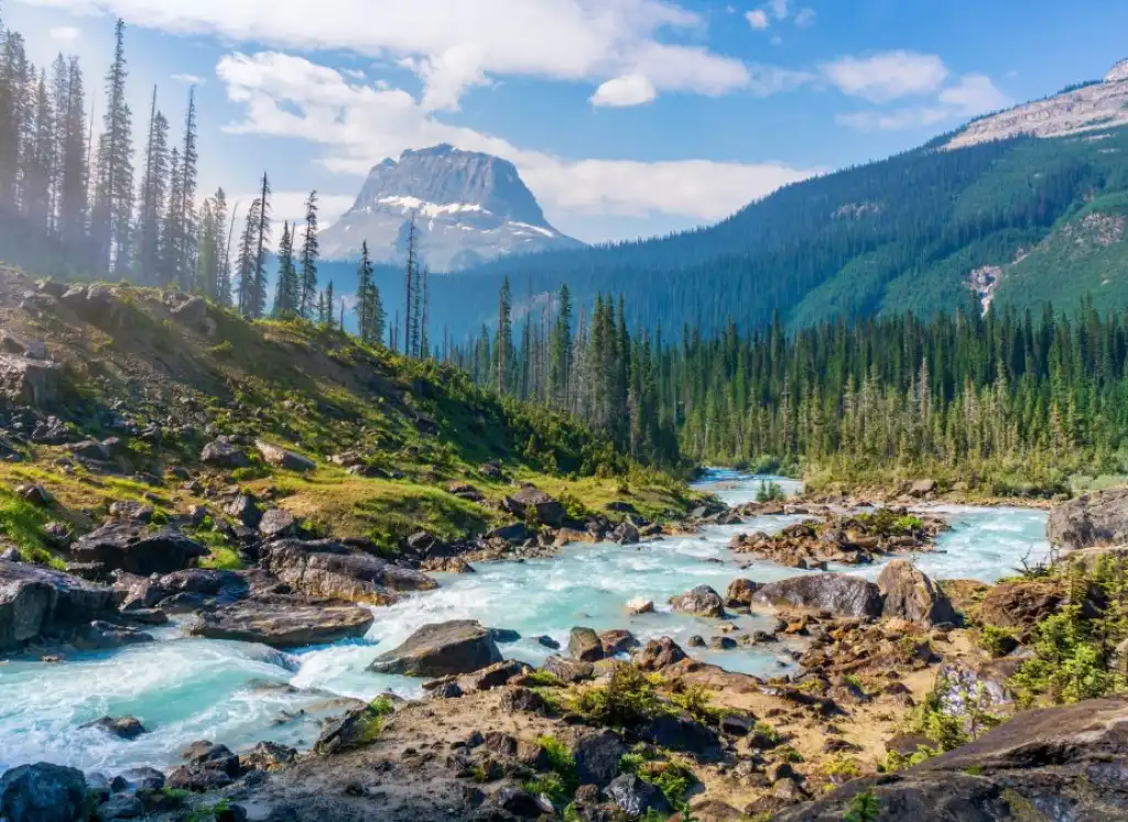 Rewilding, il «ritorno alla natura» a supporto degli ecosistemi a rischio