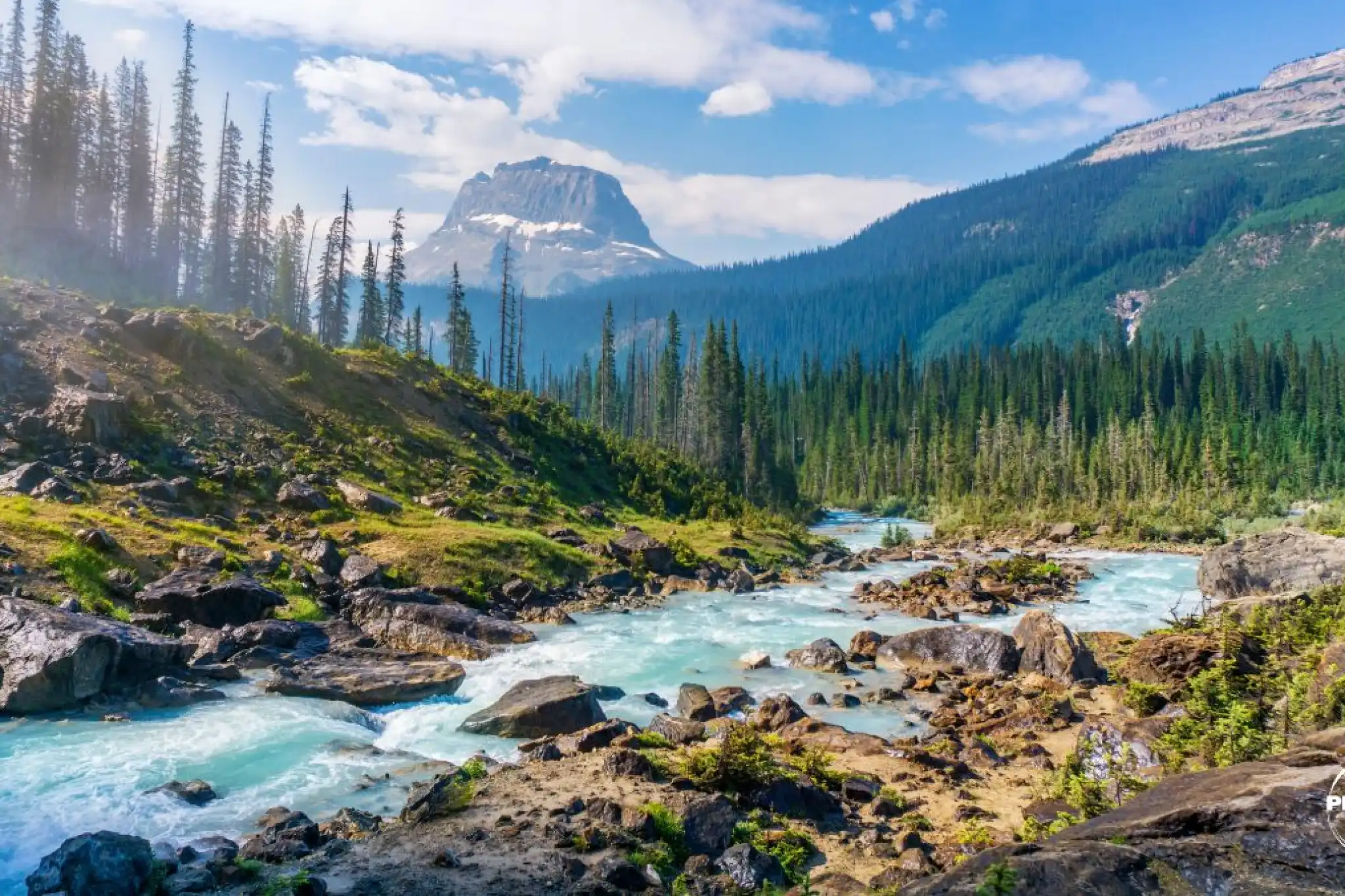 World Rewilding Day e rinaturalizzazione