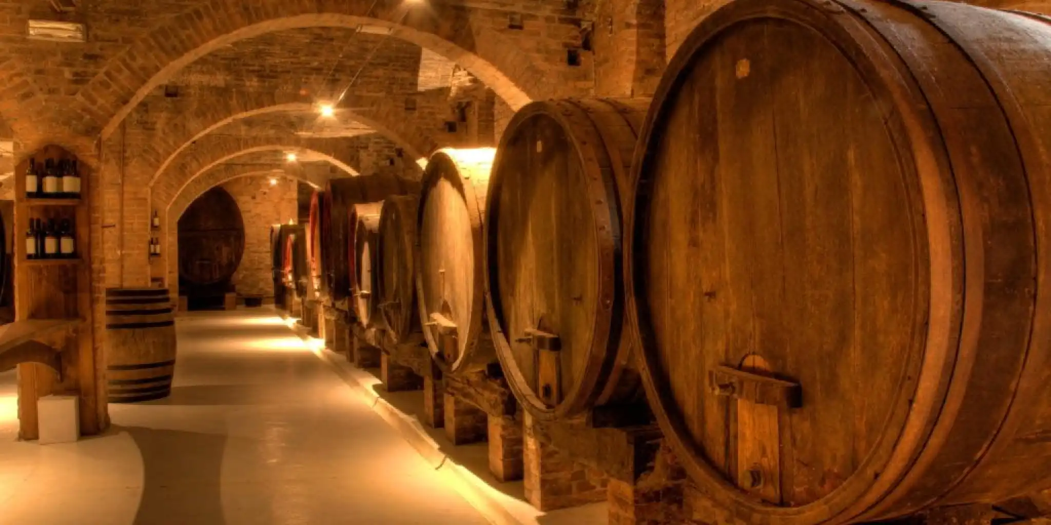 FOIED • VINO • PIPAFO • CRA • CAREFO